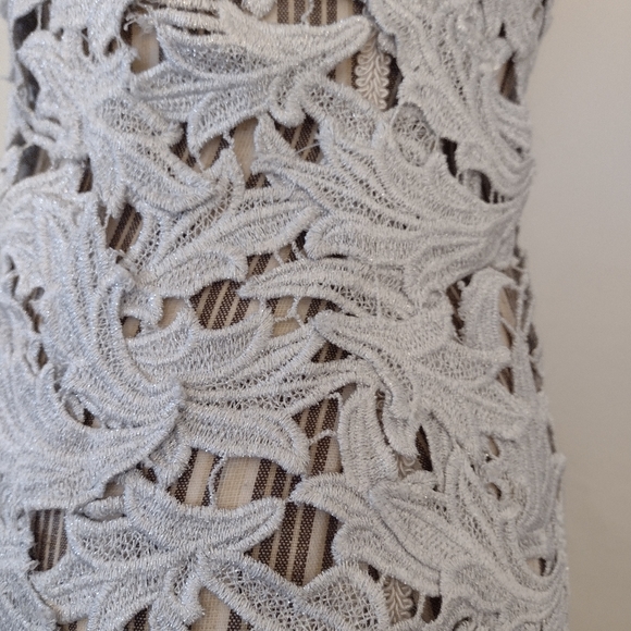 M & GUIA Brazil Silver Embroidered Floral Vine Lace Mini Dress Fits Size S - Picture 11 of 14